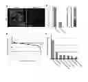 Fig. 03 - DROSOPHILA TUMOR STEM CELL MODEL AND USES THEREOF