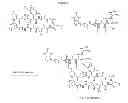 Fig. 03 - Compositions and methods for enhancing drug delivery across and into ocular tissues