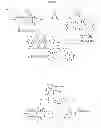 Fig. 07 - Compositions and methods for enhancing drug delivery across and into ocular tissues