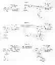 Fig. 10 - Compositions and methods for enhancing drug delivery across and into ocular tissues