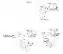 Fig. 13 - Compositions and methods for enhancing drug delivery across and into ocular tissues