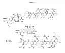 Fig. 16 - Compositions and methods for enhancing drug delivery across and into ocular tissues