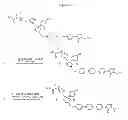Fig. 23 - Compositions and methods for enhancing drug delivery across and into ocular tissues