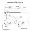 Fig. 25 - Compositions and methods for enhancing drug delivery across and into ocular tissues