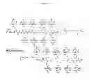 Fig. 27 - Compositions and methods for enhancing drug delivery across and into ocular tissues