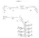 Fig. 28 - Compositions and methods for enhancing drug delivery across and into ocular tissues