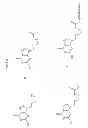 Fig. 29 - Compositions and methods for enhancing drug delivery across and into ocular tissues