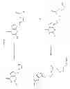 Fig. 30 - Compositions and methods for enhancing drug delivery across and into ocular tissues
