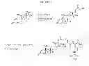 Fig. 31 - Compositions and methods for enhancing drug delivery across and into ocular tissues