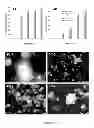 Fig. 05 - Mitochondria and human immunodefiency virus type 1