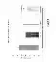 Fig. 03 - Compositions and methods of treatment for inflammatory diseases