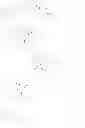 Fig. 14 - PHARMACEUTICAL MULTIMERIC PARTICLES, AND MANUFACTURING METHOD FOR SAME