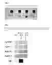 Fig. 08 - Light Insensitive Silver(i) Cyanoximates As Antimicrobial Agents For Indwelling Medical Devices