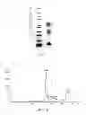 Fig. 02 - Polymer conjugates of GLP-1