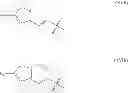Fig. 137 - CYCLODEXTRIN-BASED POLYMERS FOR THERAPEUTICS DELIVERY