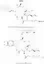 Fig. 239 - CYCLODEXTRIN-BASED POLYMERS FOR THERAPEUTICS DELIVERY
