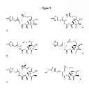 Fig. 43 - CYCLODEXTRIN-BASED POLYMERS FOR THERAPEUTICS DELIVERY