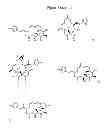 Fig. 45 - CYCLODEXTRIN-BASED POLYMERS FOR THERAPEUTICS DELIVERY