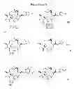Fig. 49 - CYCLODEXTRIN-BASED POLYMERS FOR THERAPEUTICS DELIVERY