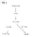 Fig. 02 - Methods for preparing ruthenium carbene complex precursors and ruthenium carbene complexes