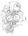 Fig. 46 - Tissue penetration device