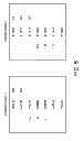 Fig. 06 - System and method for dynamically regulating order entry in an electronic trading environment