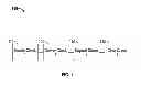 Fig. 02 - Electronic virtual checks