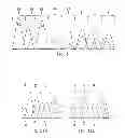 Fig. 08 - GENERATION OF DEGENERATE SEQUENCES AND IDENTIFICATION OF INDIVIDUAL SEQUENCES FROM A DEGENERATE SEQUENCE