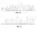 Fig. 09 - GENERATION OF DEGENERATE SEQUENCES AND IDENTIFICATION OF INDIVIDUAL SEQUENCES FROM A DEGENERATE SEQUENCE