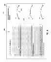 Fig. 07 - Displaying logical statement relationships between diverse documents in a research domain