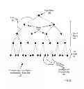 Fig. 06 - Data communications in a parallel active messaging interface of a parallel computer
