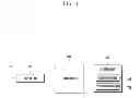 Fig. 02 - METHOD AND APPARATUS FOR OPERATING MENU SCREEN OF USER DEVICE