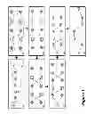 Fig. 02 - Rescaling