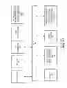 Fig. 05 - CORBA embedded inter-orb protocol (EIOP)