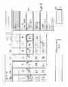 Fig. 09 - INTERACTIVE PROGRAM GUIDE SYSTEMS AND PROCESSES