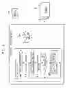 Fig. 10 - RECEIVING APPARATUS AND METHOD, INFORMATION DISTRIBUTION METHOD, FILTERING AND STORING PROGRAM, AND RECORDING MEDIUM