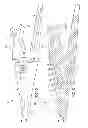 Fig. 03 - Wear assembly