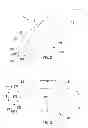 Fig. 03 - Laryngeal Mask