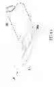 Fig. 08 - Laryngeal Mask