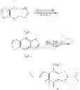 Fig. 25 - Conjugated polymers and their use in optoelectronic devices