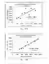 Fig. 09 - Concentration determination in a diffusion barrier layer