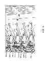 Fig. 04 - CONTINUOUS PRINT DEVICES AND SYSTEMS