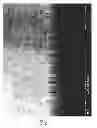 Fig. 11 - Electrical contacts to nanostructured areas