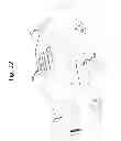 Fig. 26 - Wireless energy transfer for packaging