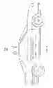 Fig. 04 - Accessing a vehicle using portable devices