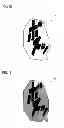 Fig. 16 - Digital comic editor, method and non-transitory computer-readable medium