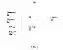 Fig. 02 - Aligning video clips to closed caption files