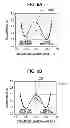 Fig. 07 - LIQUID CRYSTAL DEVICE, ELECTRONIC APPARATUS, AND PROJECTION TYPE DISPLAY APPARATUS