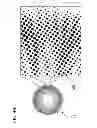 Fig. 06 - Colored contact lens