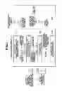 Fig. 06 - SERVER APPARATUS, CLIENT APPARATUS, INFORMATION PROCESSING METHOD, AND PROGRAM